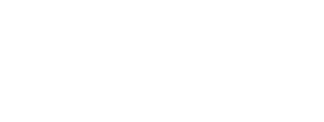 Secret City