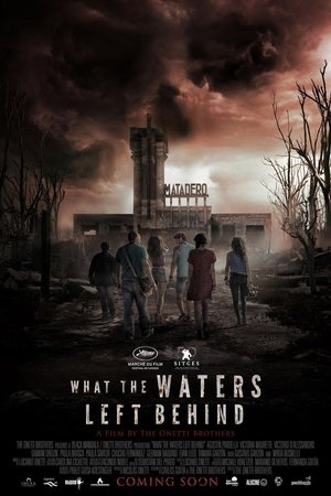 <Images posters