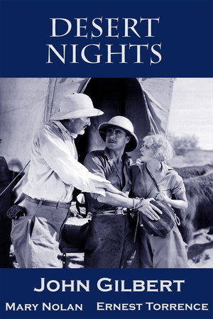Desert Nights
