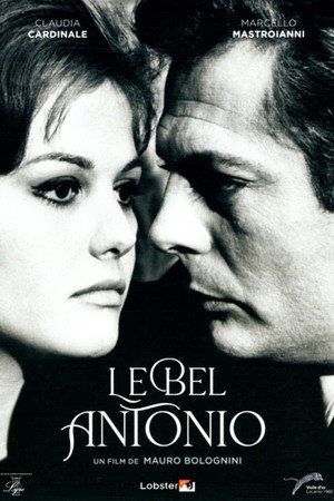 Il bell'Antonio 28