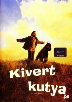 Poster Kivert kutya 1999