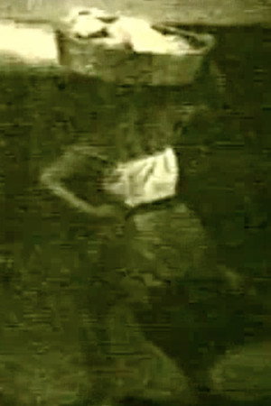 Washerwoman 2