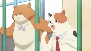 Sakurako and the Cultural Festival