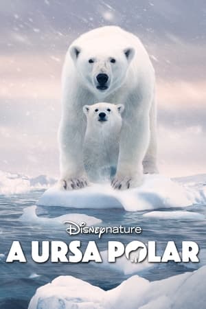 A Ursa Polar - Poster