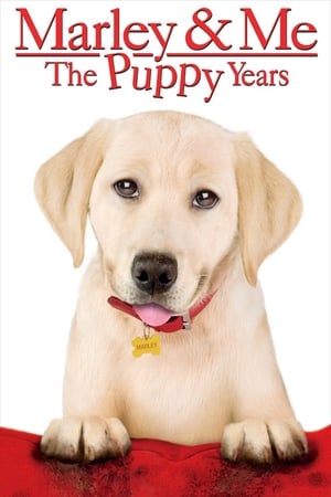 Marley & Me: The Puppy Years cover