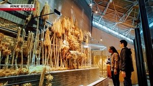 Journeys in Japan: 14×16