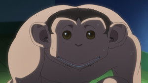 El INCIDENTE DARWIN: 1×4