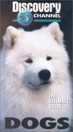 Image The  Ultimate Guide - Dogs