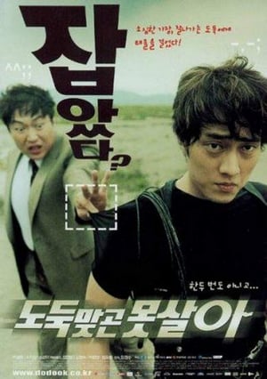 Poster Can't live without robbery 2002