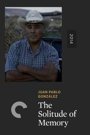 Póster oficial de la película The Solitude of Memory