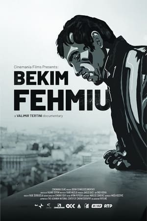 Image Bekim Fehmiu