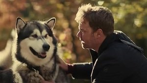 Hero Dog: The Journey Home film complet