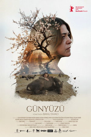 Günyüzü