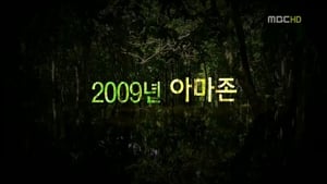 MBC 창사특집 다큐멘터리 아마존의 눈물 film complet