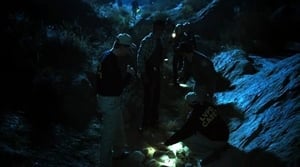 CSI: Crime Scene Investigation: 4×8