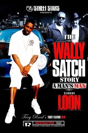 Póster oficial de la película The Wally Satch Story