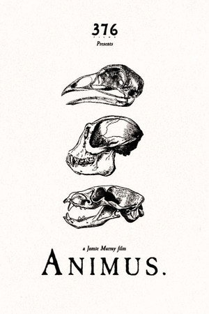Animus 4
