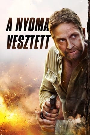 A nyoma vesztett