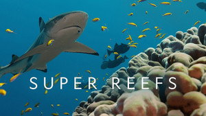 Super Reefs (2024) Dual Audio [Hindi ORG & ENG] WEB-DL 720p,1080p | GDRive