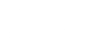 Logo Toy Cinema