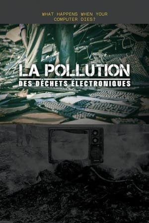 Image La Pollution des déchets électroniques