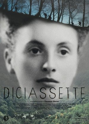 Diciassette