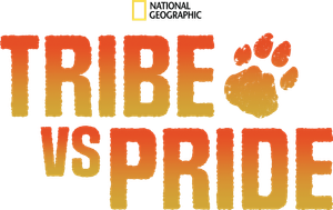 Tribe vs Pride — Logos 3