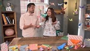 Cochon dingue: 3×15