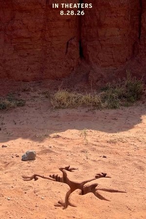 Coyote vs. Acme