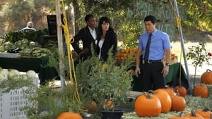 The Mentalist: 3 Staffel 8 Folge