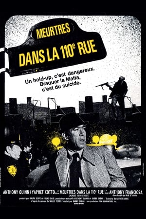 Meurtres dans la 110e rue 1972