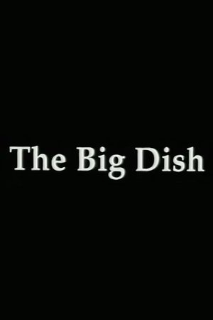Poster The Big Dish 1998