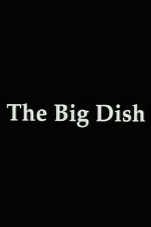 Image The Big Dish