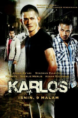 Poster Karlos Bolos 2013