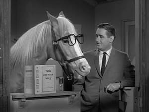 Mister Ed Season 2 Episode 14