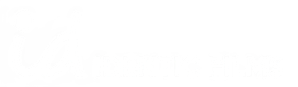 Logo Identic Films