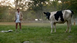 Bull: 1 Staffel 4 Folge