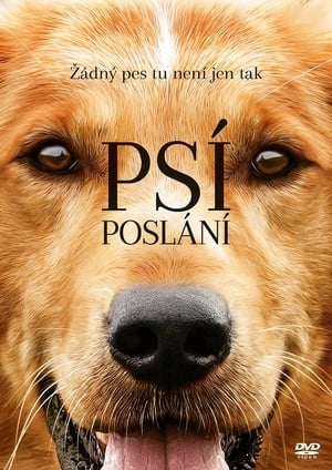 Psí poslání