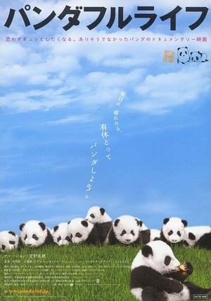 Image 大熊猫的生活