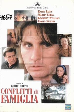 Poster Conflitti di famiglia 1996