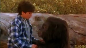 Little Bigfoot (1997)