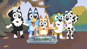 Bluey: 1×13