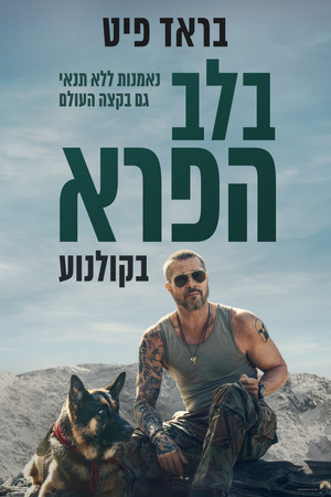 <Images posters