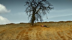 L’albero dei frutti selvatici