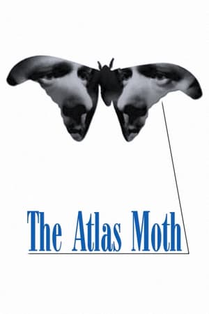 Poster The Atlas Moth 2001