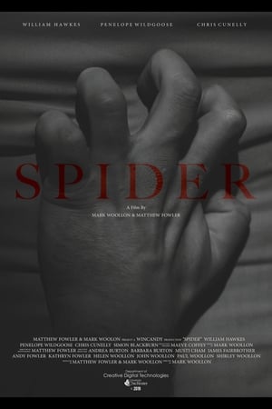 Poster Spider (2019)