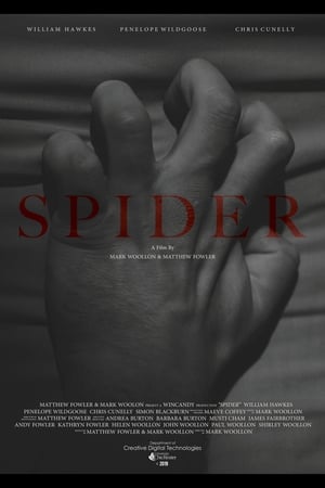 Poster Spider 2019