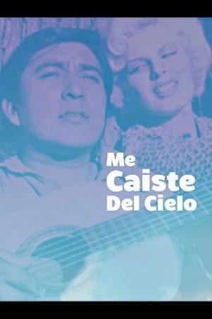 Poster Me caiste del cielo (1975)