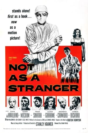 Not as a Stranger poster