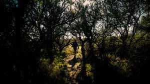 Verses In Sepia (2025)